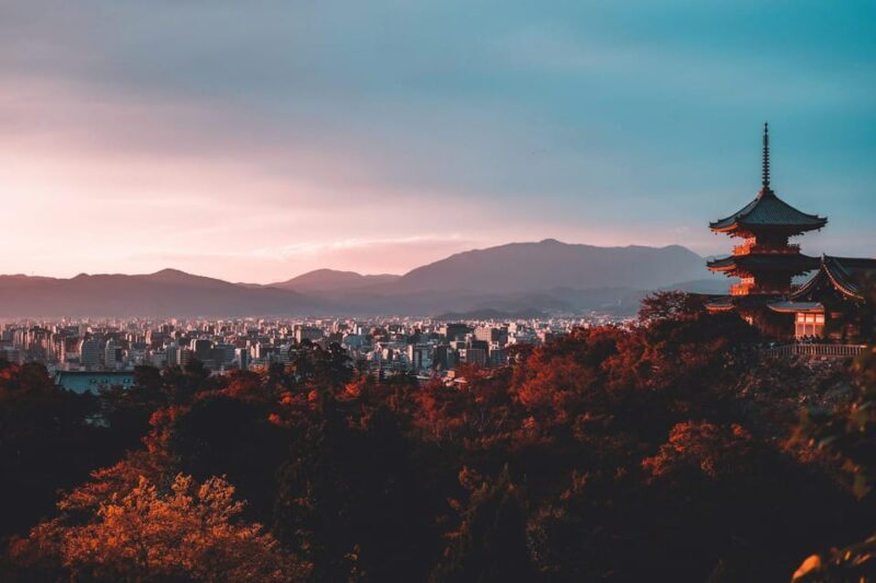 1-Day Osaka to Kyoto: Temples, Castles & Culture Tour - Who Is This Tour Best For?