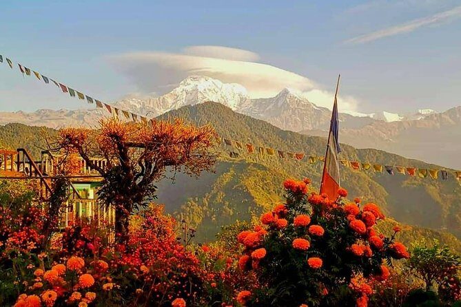 1-Day Private Dhampus Trekking Tour - Key Points