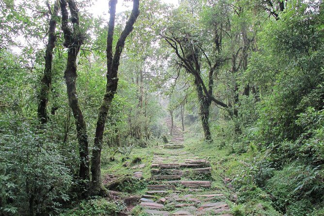 1-Day Private Dhampus Trekking Tour - Who Is This Tour Best For?
