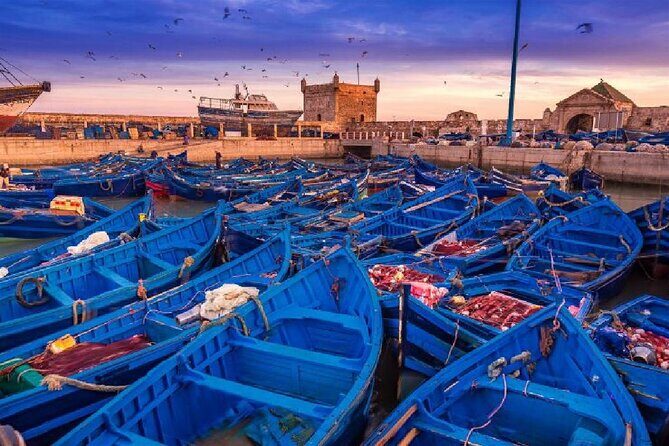 1-day private excursion to Essaouira from Marrakech - A Deep Dive into the Tour Experience