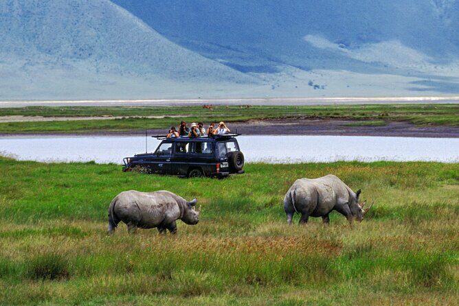 1 Day Private Ngorongoro Crater Safari - The Itinerary: What You Can Expect