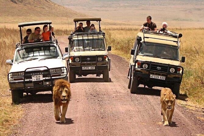 1 Day Private Ngorongoro Crater Safari - The Practicalities: Transportation, Timing, and Group Size