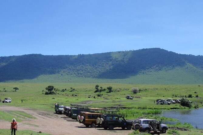 1 Day Private Ngorongoro Crater Safari - Who Will Love This Tour?