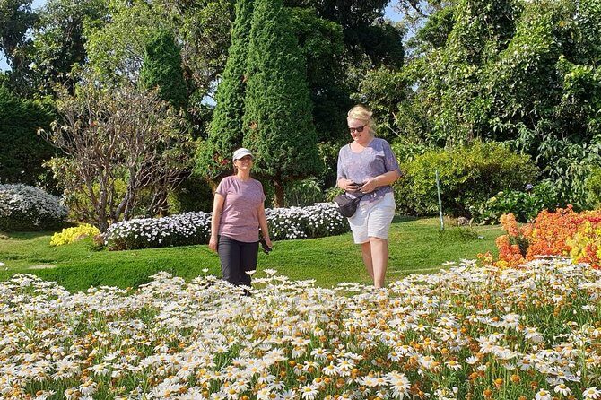 1 Day Private Tour Doi Inthanon And Phachor Canyon - Who Should Consider This Tour?