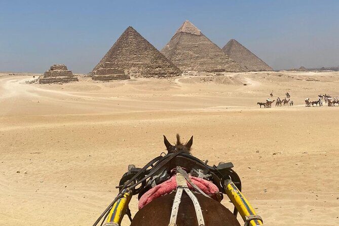 1 Day Private Tour from Hurghada to Cairo - Stop 3: The Pyramids of Giza