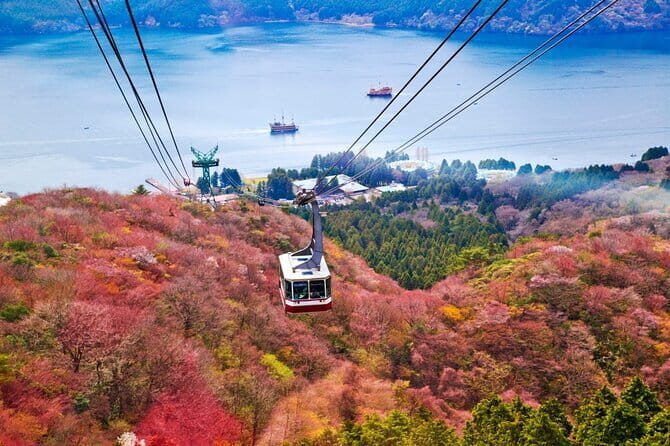 1 Day Private Tour to Hakone-Gotemba With English Speaking Driver - The Sum Up