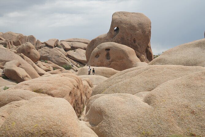 1-day Private Tour to Joshua Tree National Park from Los Angeles - Final Thoughts