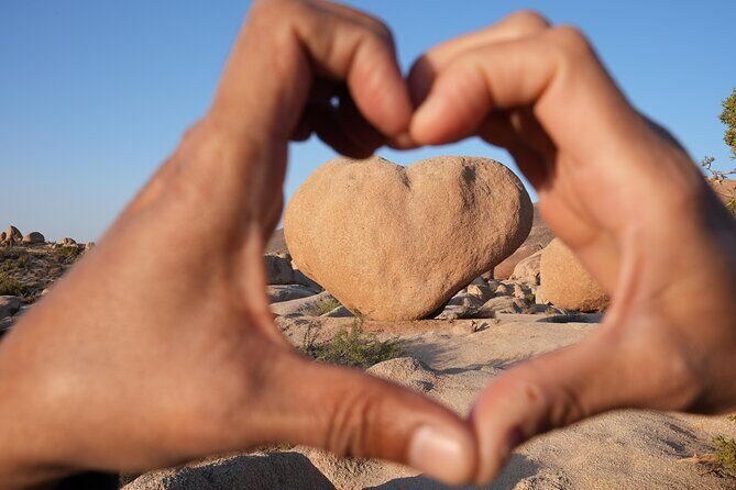 1-day Private Tour to Joshua Tree National Park from Los Angeles - FAQs