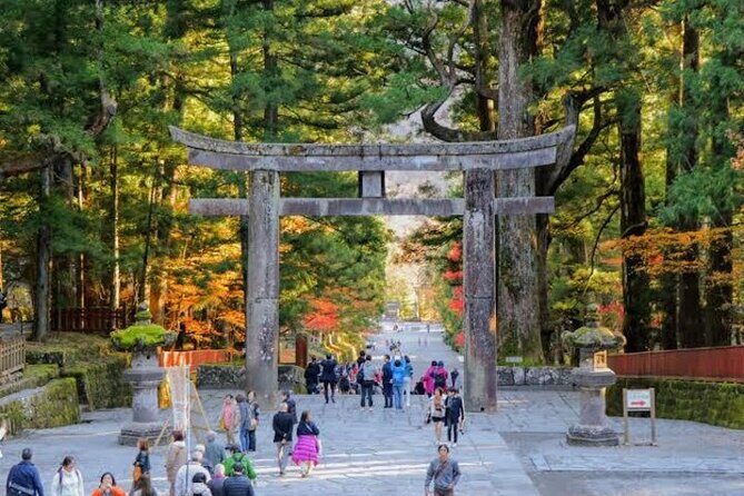 1- Day Private Tour to Nikko Tochigi With English Speaking Driver - FAQ: Your Practical Questions Answered