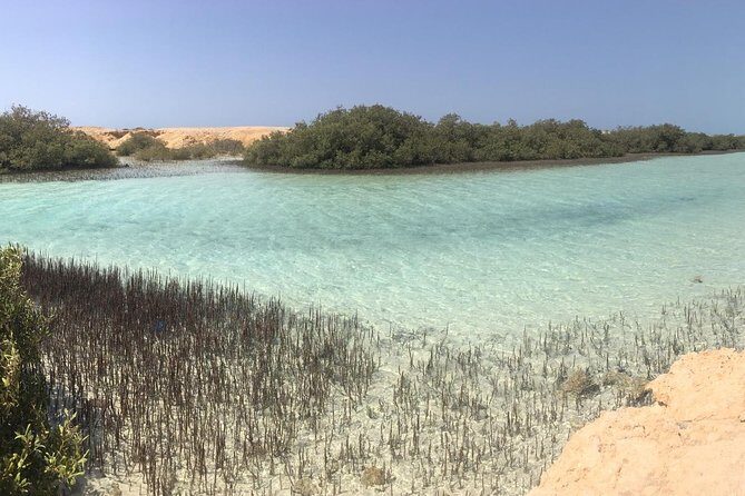 1 Day Private Trip to Ras Mohamed By Car From Sharm-el-Sheikh - Why Choose This Tour? An In-Depth Look