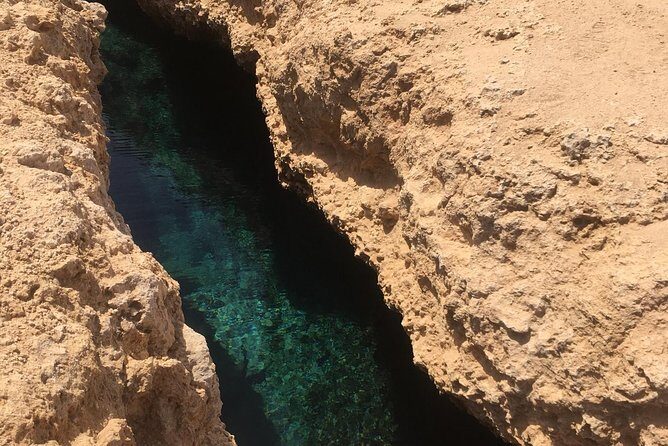1 Day Private Trip to Ras Mohamed By Car From Sharm-el-Sheikh - Who Would Love This Tour?