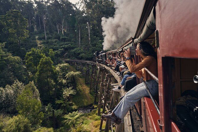 1 day Puffing Billy Steam Train and Wildlife Tour from Melbourne - Key Points