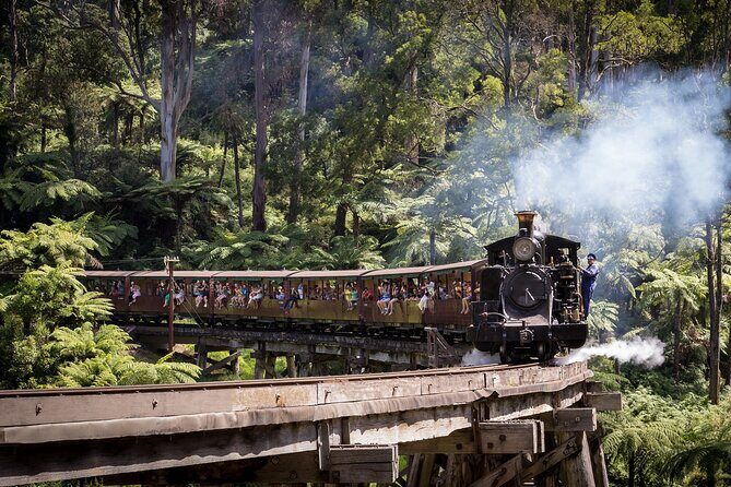1 day Puffing Billy Steam Train and Wildlife Tour from Melbourne - The Itinerary: What to Expect from Dawn to Done