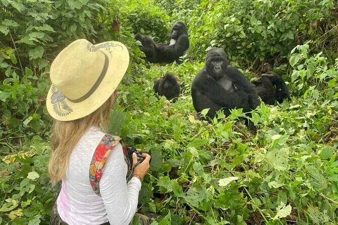 1 Day Rwanda Gorilla Trekking Tour In The Volcanoes National Park - Frequently Asked Questions