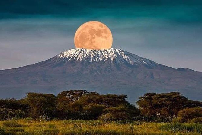 1 Day safari to Amboseli National park. - FAQ