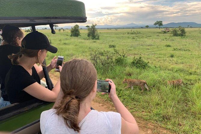 1 Day Safari to Mikumi National Park - Who Will Love This Safari?
