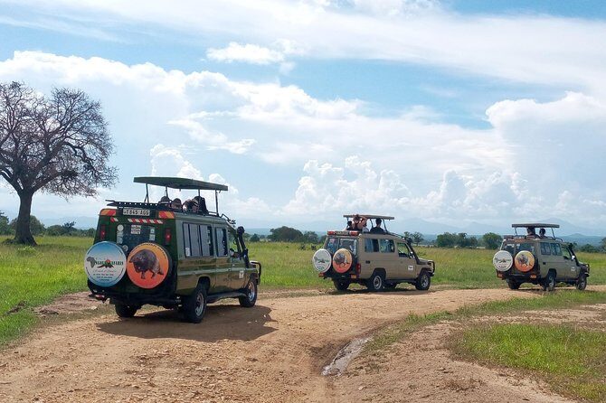 1 Day Safari to Mikumi National Park - Final Thoughts