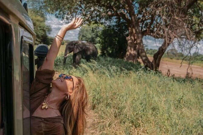 1. Day safaris to Mikumi by Train from dar es salaam - Introduction: A Compact Tanzanian Safari With Big Rewards