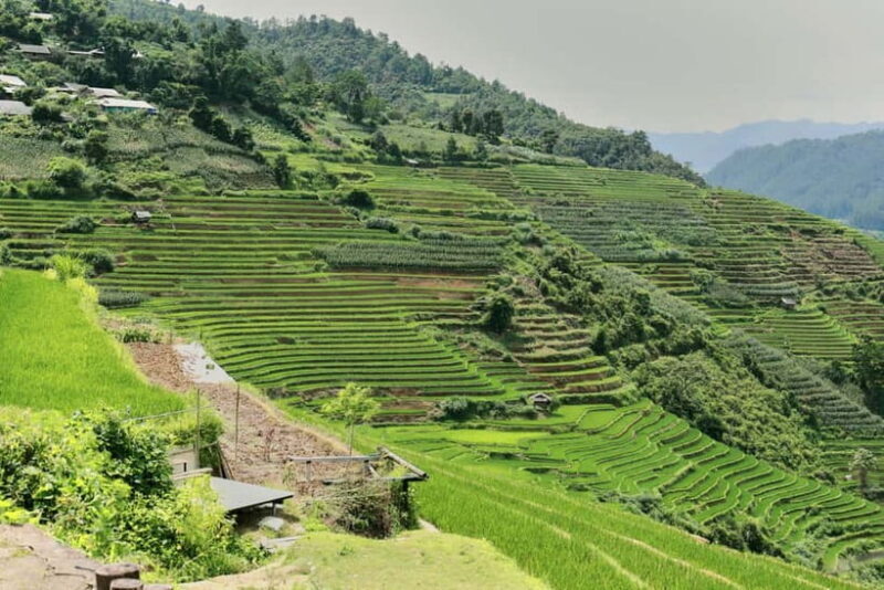 1-Day Sapa Long Trek - Rice Field Terrace, Ethnic Culture - FAQ