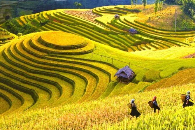 1 Day Sapa Tour Explore Y Linh Ho And Lao Chai And Ta Van Village - Key Points