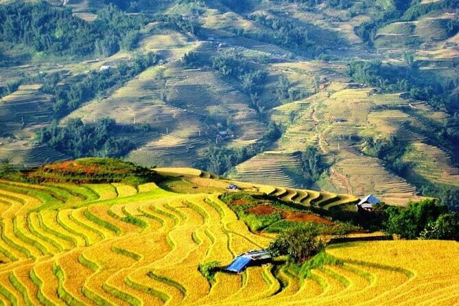 1 Day Sapa Tour Explore Y Linh Ho And Lao Chai And Ta Van Village - The Sum Up: Who Should Book This Tour?