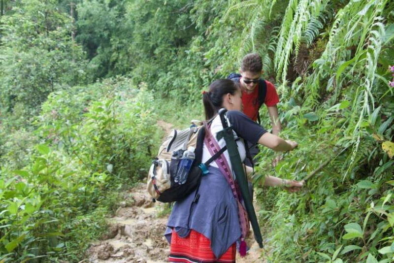 1 Day Sapa Trek&Home-cooked Lunch HmongSisterHouse&Trekking - Authenticity and Cultural Insights