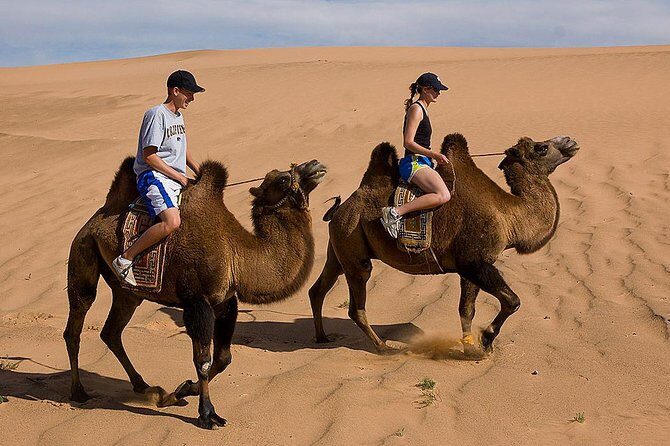 1 Day Semi-Gobi All-included tour - An Honest Look at the 1 Day Semi-Gobi Tour