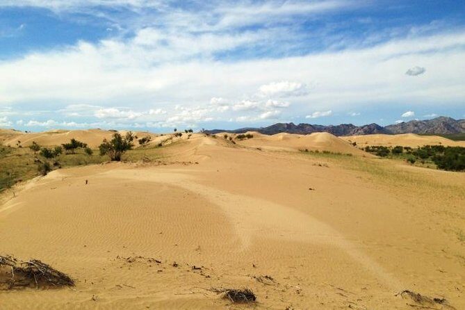 1 Day Semi-Gobi Tour Including Lunch And Free Camel +Bonus Khustai National Park - Lunch and the Scenic Drive