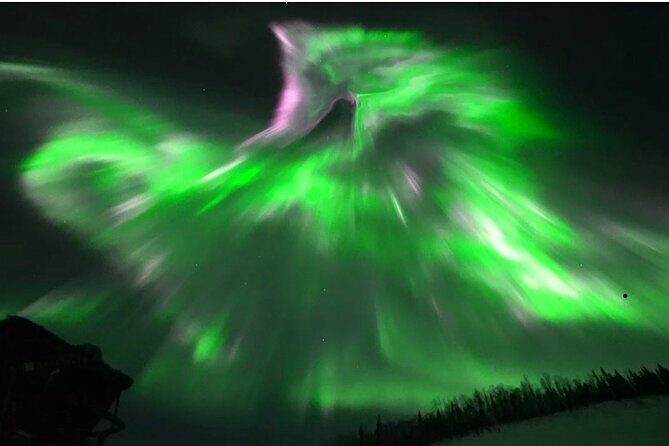 1 Day Shared Tour Arctic Circle and Aurora Viewing in Alaska - The Scenic Drive and Group Comfort