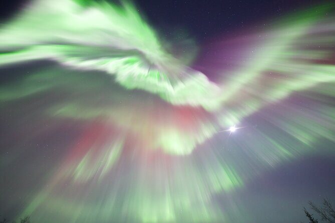 1 Day Shared Tour Arctic Circle and Aurora Viewing in Alaska - The Northern Lights and Why They Matter