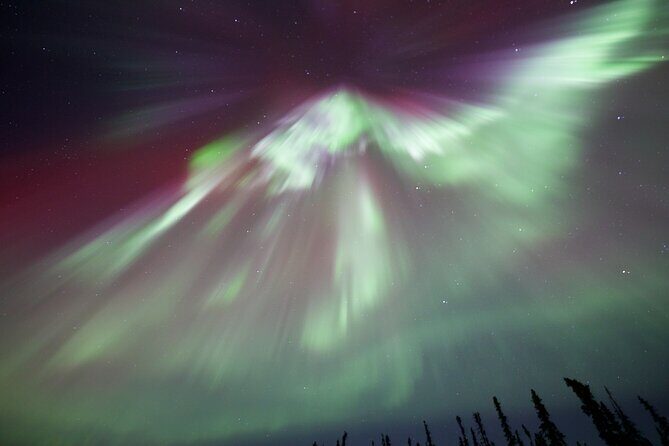 1 Day Shared Tour Arctic Circle and Aurora Viewing in Alaska - Value for Money and Practical Considerations