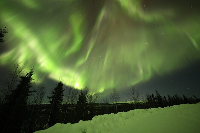 1 Day Shared Tour Arctic Circle and Aurora Viewing in Alaska - What the Reviews Say