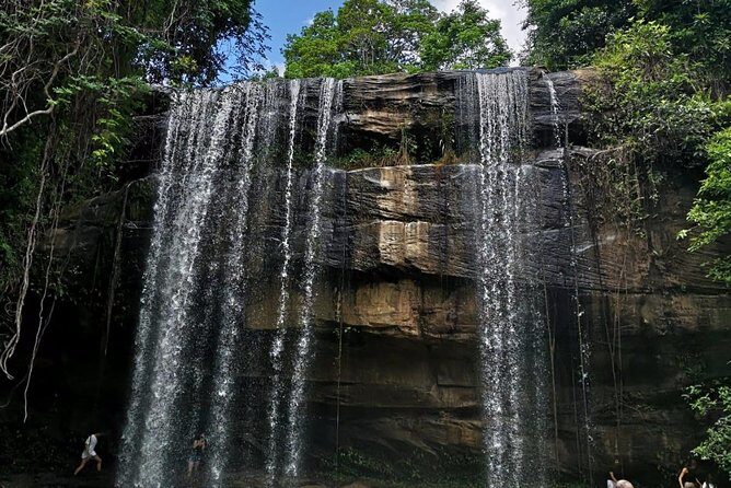 1 day Shimba hills - Exploring the 1-Day Shimba Hills Tour: A Practical Review
