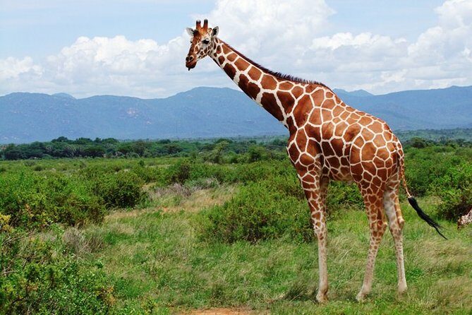 1 Day Shimba Hills starting from Diani Beach. - Exploring the Itinerary: What Makes Each Stop Special