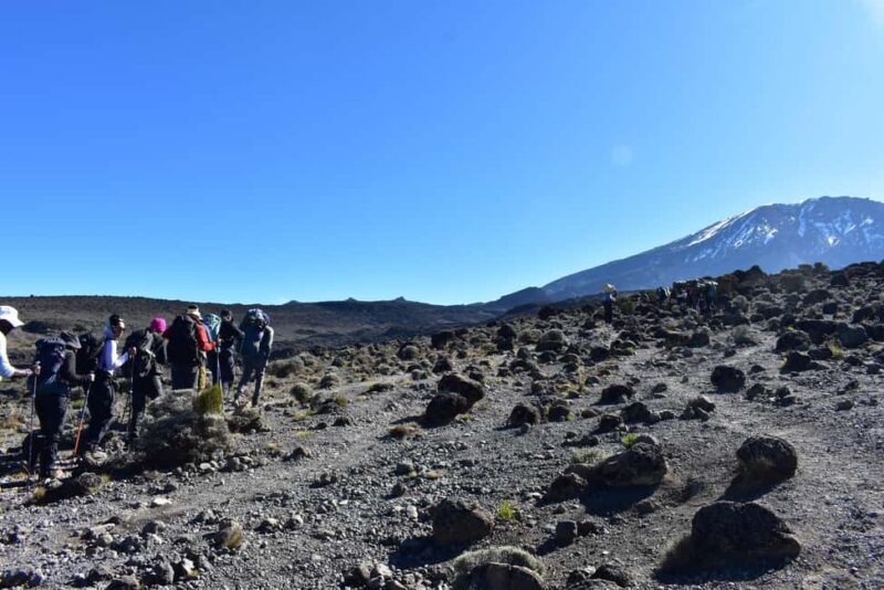 1-Day Shira Plateau, Kilimanjaro Hiking - The Route and What You Can Expect