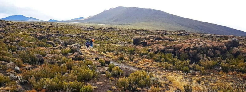 1-Day Shira Plateau, Kilimanjaro Hiking - The Practicalities