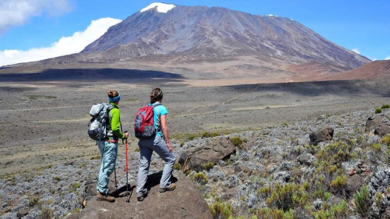 1-Day Shira Plateau-Kilimanjaro Hiking - Key Points
