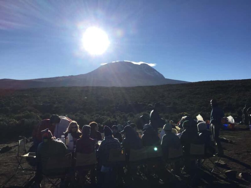 1-Day Shira Plateau-Kilimanjaro Hiking - An In-Depth Look at the Experience
