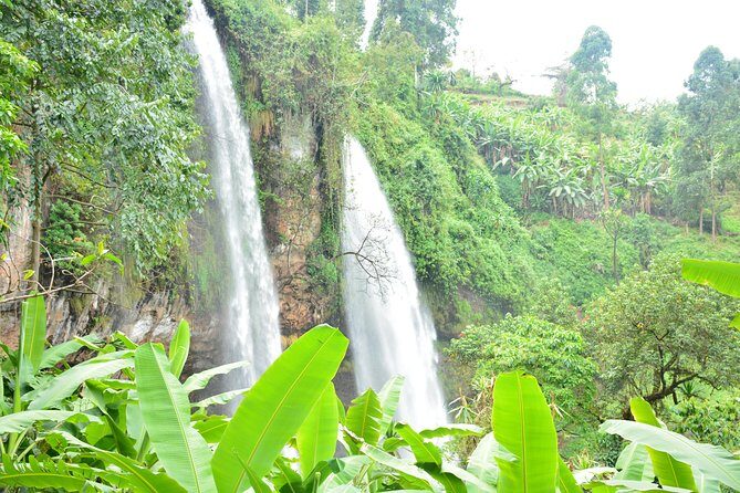 1 Day Sipi falls hike - Practical Details for Travelers