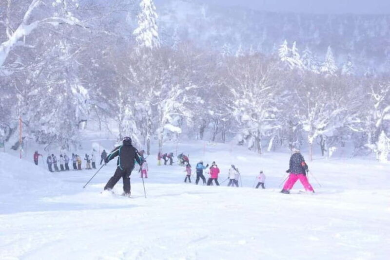 1-Day Ski Tour Package from Sapporo Station - An In-Depth Look at the Day