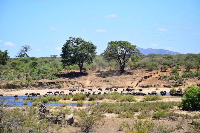 1 Day Skukuza Wildlife Photographic Safari - Kruger National Park - Final Thoughts