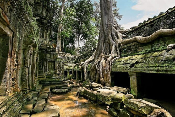 1 day special Tour: Angkor Wat,Bayon,Ta Prohm, Bantey srei and Beng Mealea - The Experience Begins: Picking Up and Heading Out