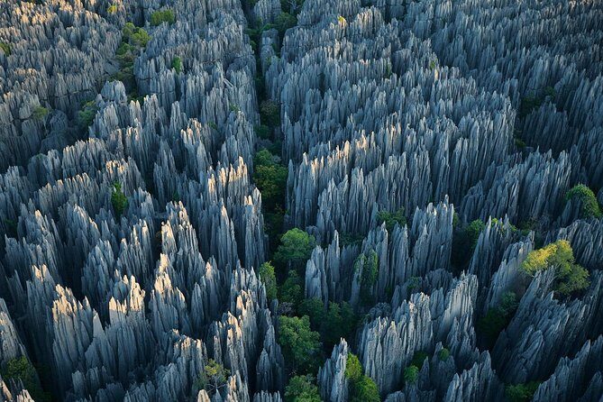 1 Day Stone Forest & Jiuxiang Cave Tour - Key Points