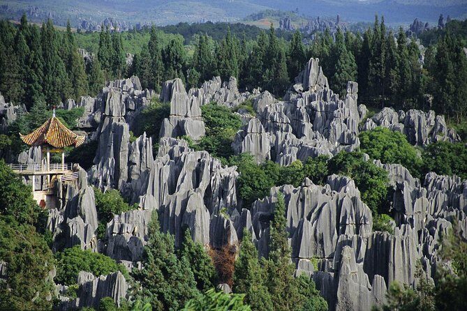 1 Day Stone Forest & Jiuxiang Cave Tour - Authentic Experiences & Traveler Feedback