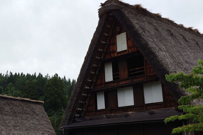 1-Day Takayama Tour: Explore Scenic Takayama and Shirakawago - Who Will Love This Tour?