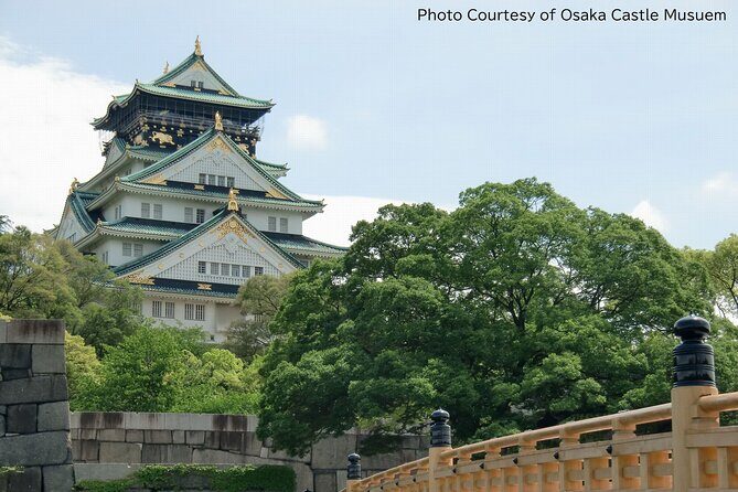 1 Day Takoyaki Making and Osaka Castle Walking Tour - Who Should Book This Tour?
