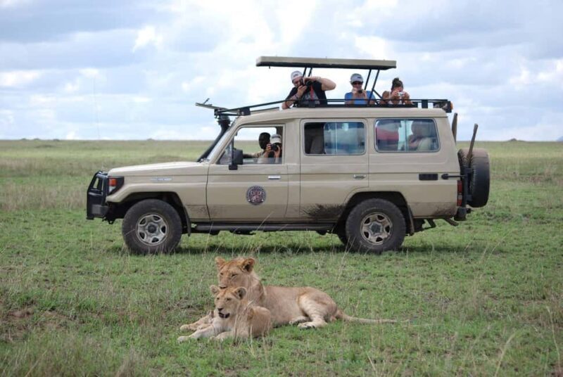 1-Day Tarangire National Park- Shared Tour - The Value of the Tour