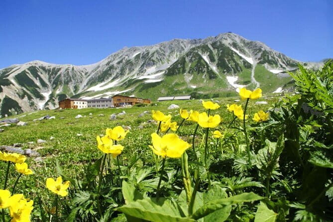 1-Day Tateyama-Kurobe Tour: Walking on the 'Roof of Japan' - Key Points