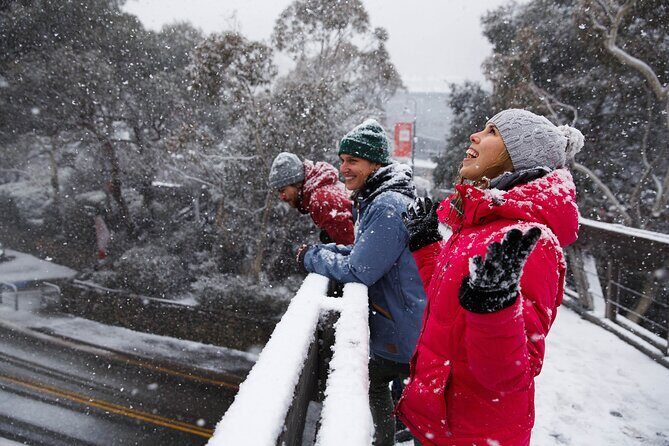 1 Day Thredbo Snow Tour - An In-Depth Look at the Thredbo Snow Tour Experience