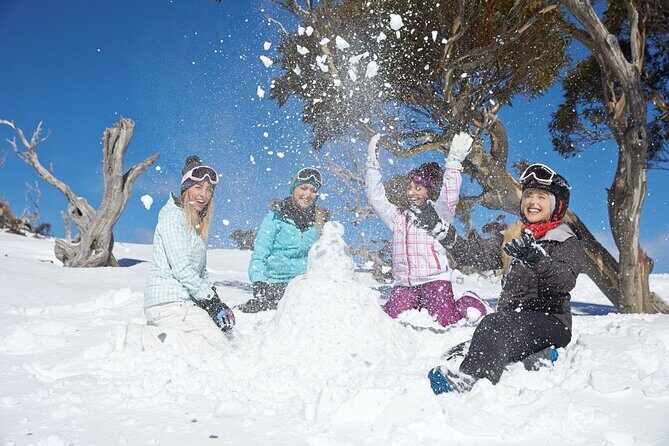 1 Day Thredbo Snow Tour From Sydney - Who Is This Tour Best Suited For?